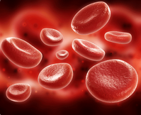 blood